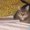 Photo of Belinda R.