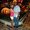 Photo of Tracie B.
