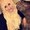Photo of Aneesa M.