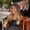 Photo of Alexa C.