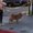 Photo of 48 M.