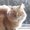 Photo of Kitty E.