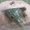 Photo of Reptile R.