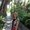 Photo of Shohreh G.