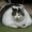Photo of Qype User (buntyb…)