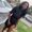 Photo of Tatyona A.