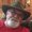 Photo of Owen S.