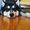 Photo of Rocko F.