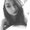 Photo of Stephani S.
