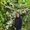 Photo of Francisca B.