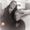 Photo of Dawn C.
