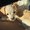 Photo of Miyu D.