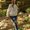 Photo of Lauren H.