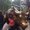 Photo of Shalini M.