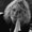 Photo of Cindi C.