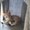 Photo of Natascha G.