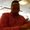 Photo of Shahmeer H.