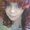 Photo of Alisha C.