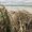 Photo of Chris K.