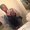 Photo of Kaylah R.