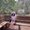 Photo of Yaquelin A.