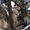 Photo of Yourbuddy M.