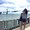 Photo of Michelle M.