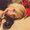 Photo of Alanna S.