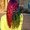 Photo of Sunna C.