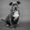 Photo of Weezy M.