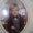 Photo of Matthew B.
