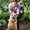 Photo of Luann S.