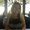 Photo of Donna S.