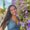 Photo of Juliana T.