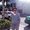 Photo of Arijit P.