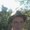 Photo of Josh N.