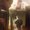 Photo of Tanesha S.