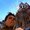 Photo of Dave L.