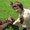 Photo of Qype User (lindar…)