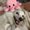 Photo of Kayra B.