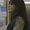 Photo of Natasha M.