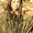 Photo of Lisett B.