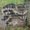 Photo of Jennifer F.