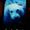 Photo of Hassman H.