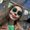 Photo of Meg D.