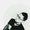 Photo of Zeqian P.