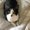 Photo of Trish C.