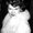 Photo of Desiree G.