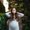 Photo of Shayna A.