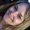 Photo of Angie L.
